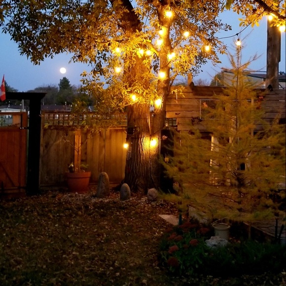 Meet your Posher, H - Picture 10 of 10